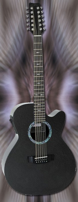 Acoustic/Electric 12 String